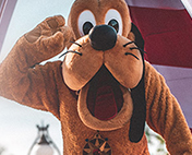 動(dòng)畫(huà)制作